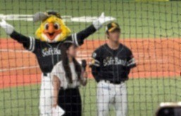 《研修医ブログ》野球観戦