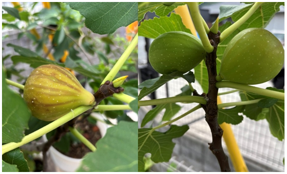 【事務局ブログ】マッチングの御礼